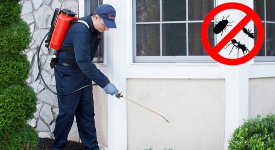 Çerkeş Hamam Böceği İlaçlama böcek ilaçlama ve haşere kontrolü — ilaclama-tr.com